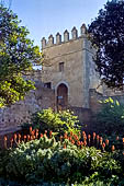 Rabat - la Kasbah degli Oudaia. I Giardini andalusi. 